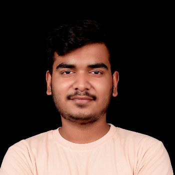 CHOUHAN SAGAR - Web Designer